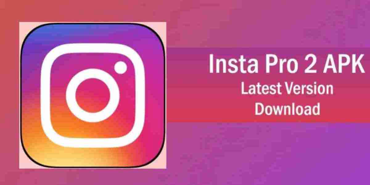 Insta Pro: Mastering the Art of Instagram for Professionals