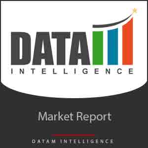 Total Ankle Replacement Market Size, Share, Growth & Report 2024-2031