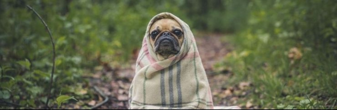 Trendy Pets Deals Cover Image