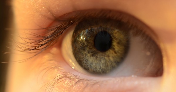Bubble Dock's answer to How can I effectively remove scratches from glasses? - Quora