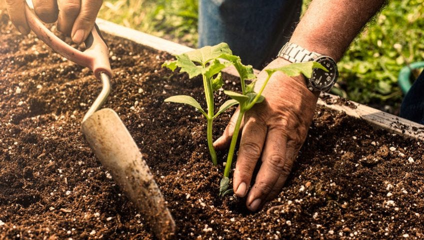 Why Should You Get In Touch With Potassium Humate Suppliers? | by Humic China | May, 2024 | Medium