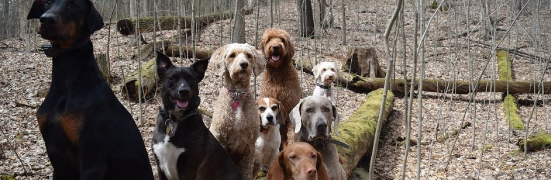 K9 Academy Cover Image