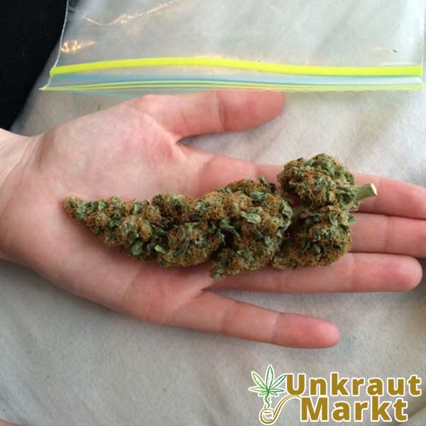 Hawaiian Snow - Unkraut Markt