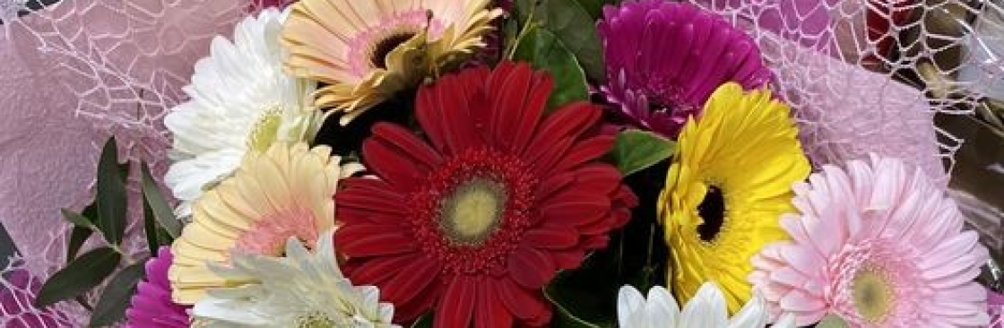 blossomof wyndham Cover Image