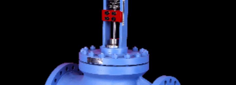 IndiTech Valves Cover Image
