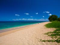 Book Your Dream Maui Vacation Rentals | Hawaiian Beach Rentals