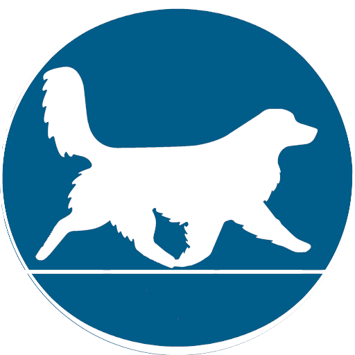 Dog Day Care Center & Boarding in Bowmanville & Oshawa