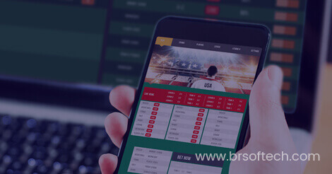 Fantasy App & Website Development Company | Fantasy Sports Solution by BR Softech