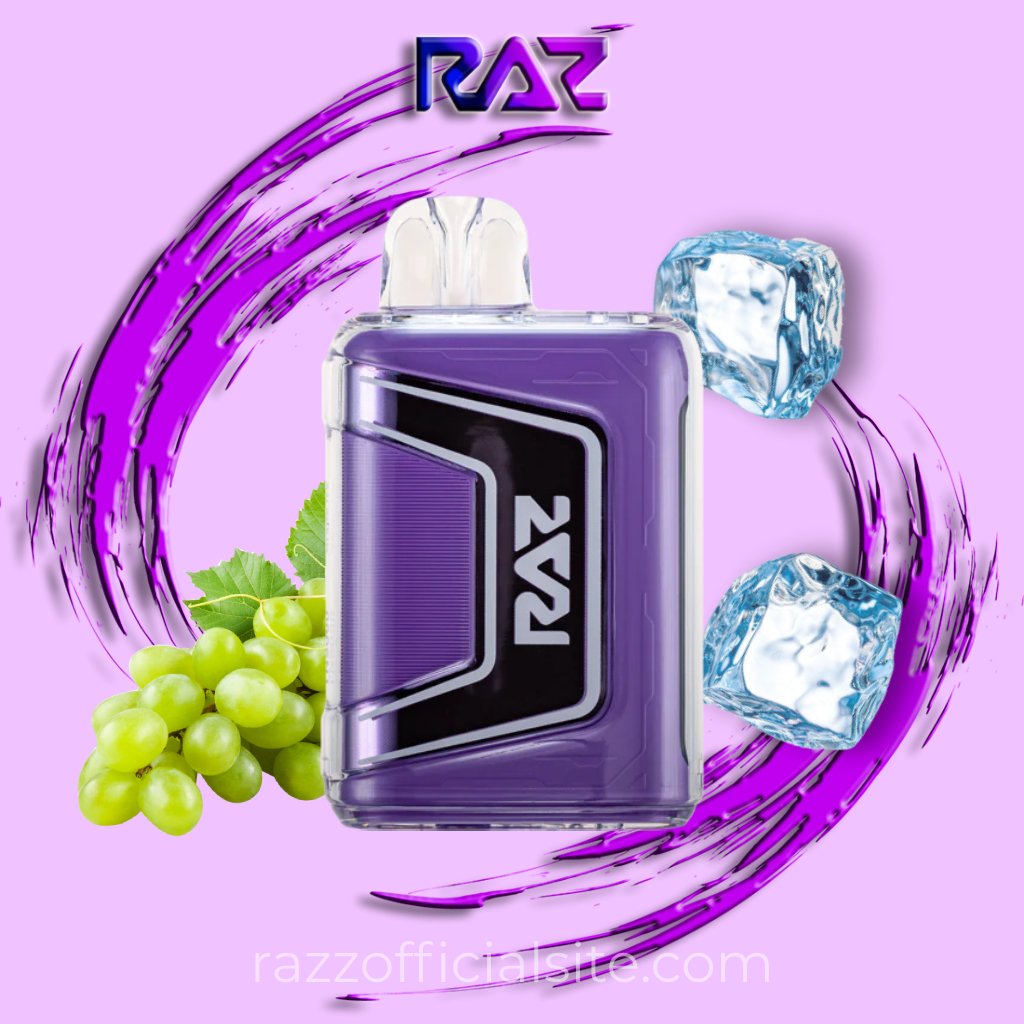 Raz Grape Ice Vape | RAZ TN9000