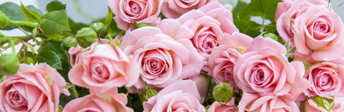 My Flowers and Gifts Cover Image