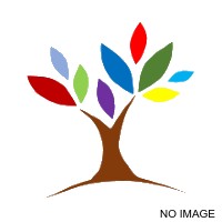 Digital Marketing Course in Rohini