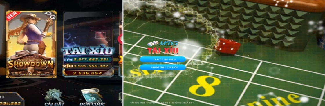 Taixiumd5 Run Cover Image