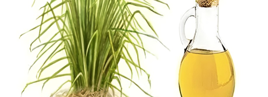 Arora Aromatics Cover Image