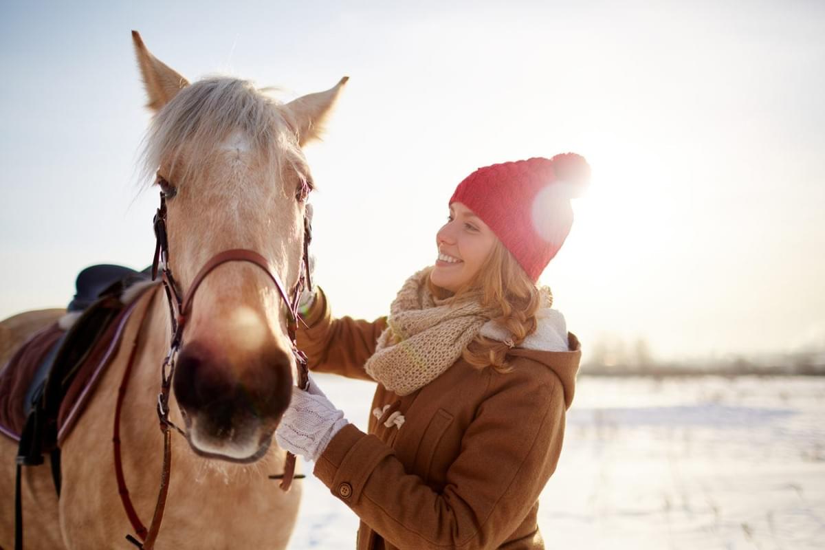 Seasonal Horse Care: The Importance of Blankets and How...