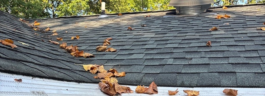 Stern Gutters Cover Image