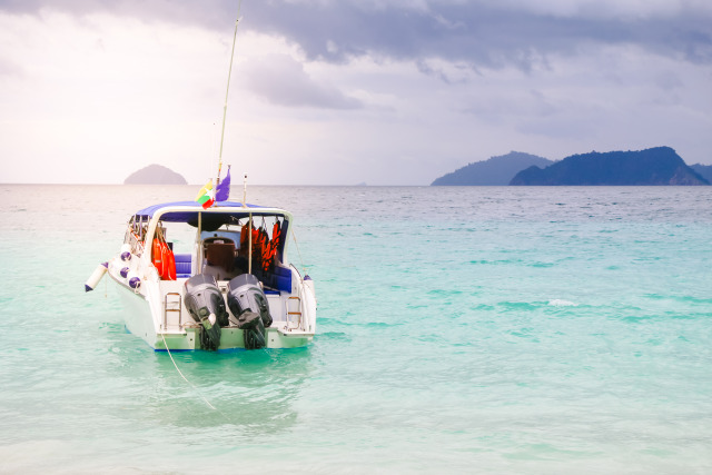 Why Shark Fishing Trips in Florida Are a Must-Do for Thrill Seekers – @mcharactersposts on Tumblr