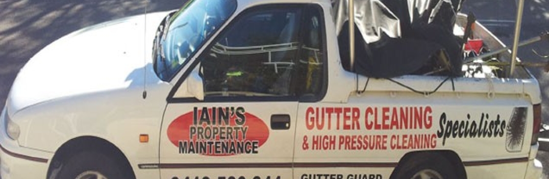 Gutter Guard Cleaning Repair Newcastle Cover Image