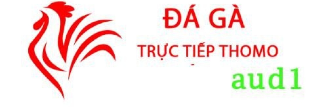 Đá Gà Trực Tiếp Thomo Hôm Nay Cover Image