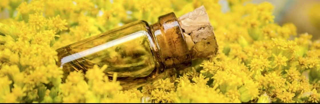 DBR Exports India Cover Image