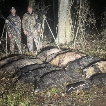Why Thermal Hog Hunting Is the Future of Night Hunting