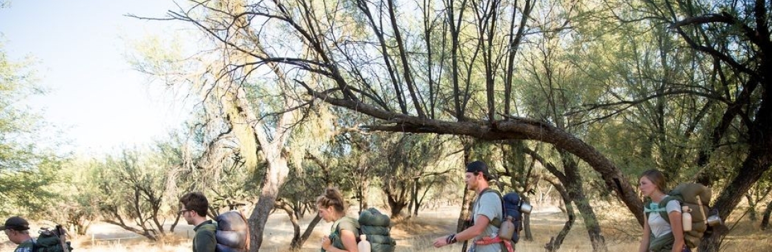 Anasazi Therapy Cover Image