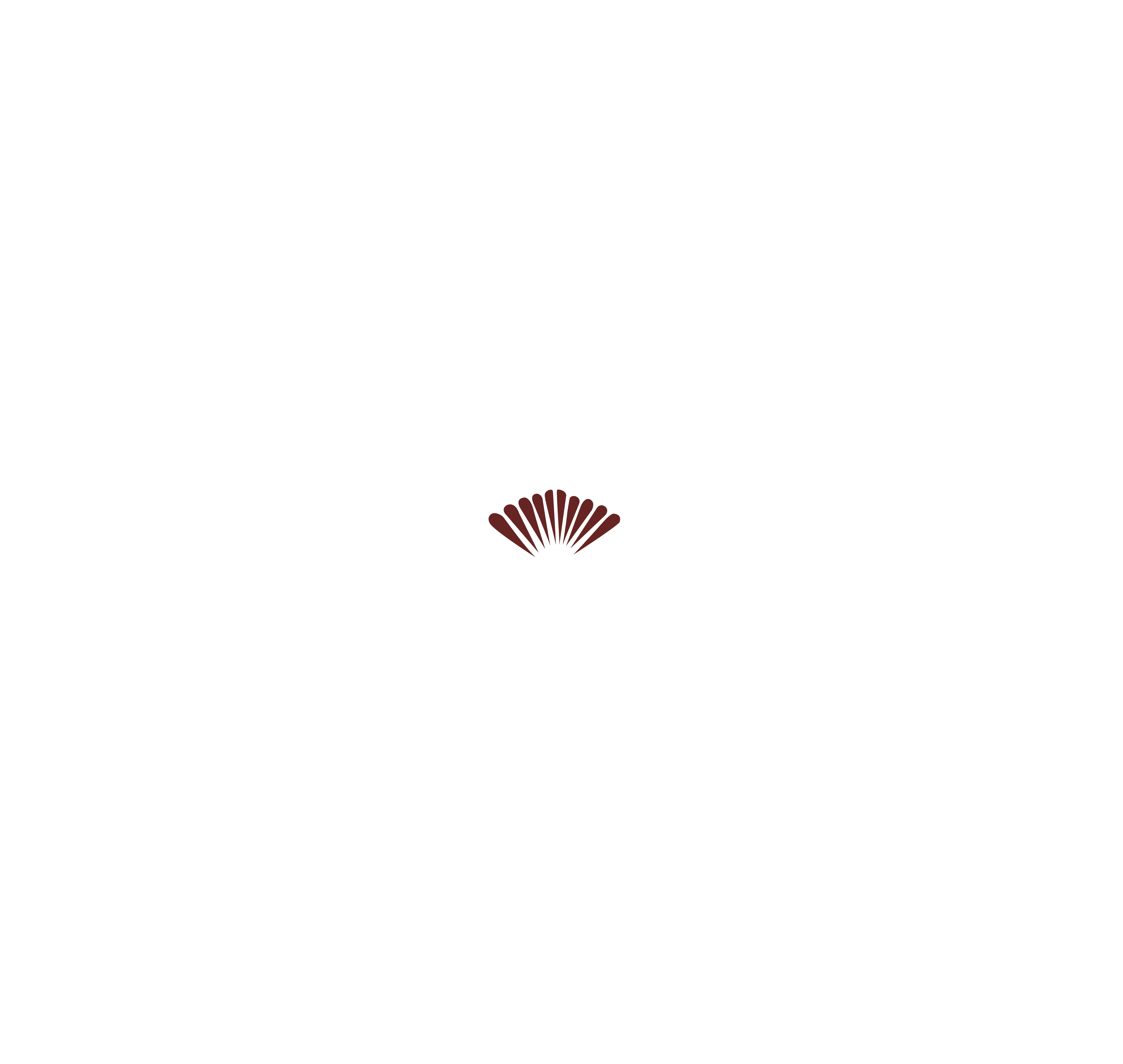 Aesthetics Redefined by Cocoona