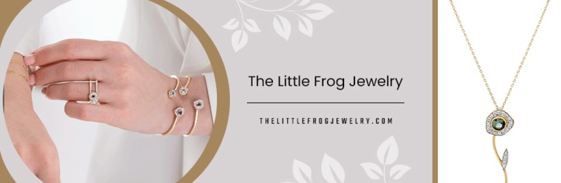 The Little Frog Jewelry Cover Image