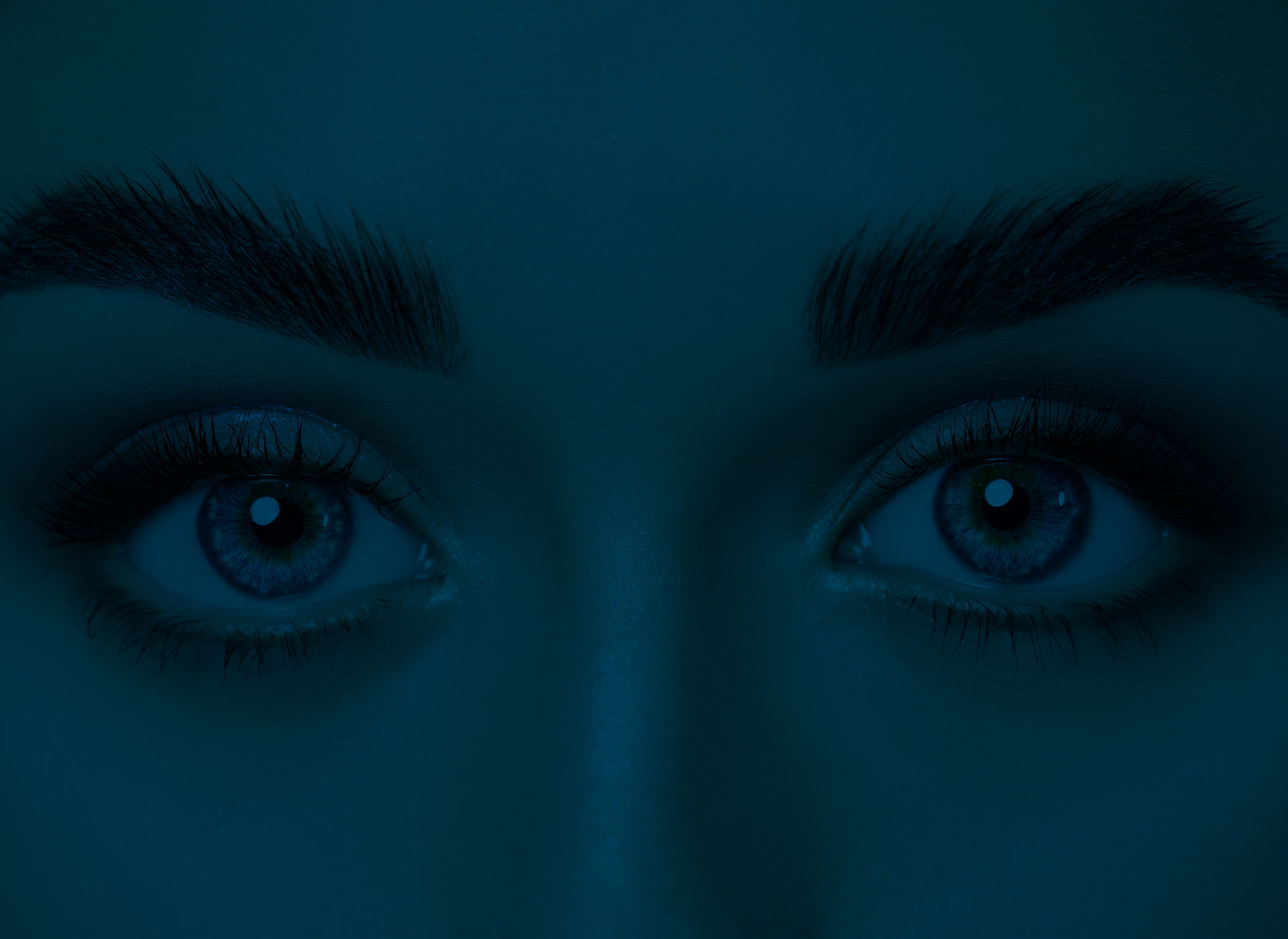 Brow Waxing, Lamination & Lash Tint Services Anchorage, Alaska | Lady Wax Studio & Spa