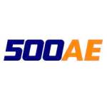 500ae vn Profile Picture