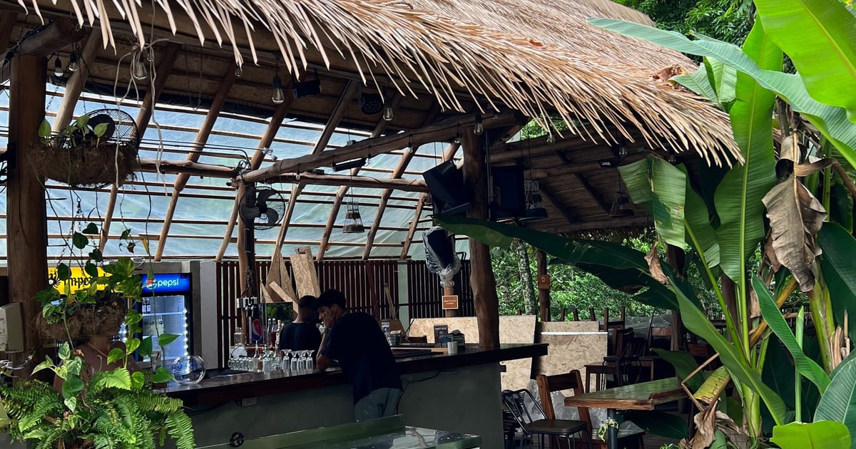 Artificial Palm Roofs in Costa Rica | Durable & Stylish Solutions | goodworldcompany.com