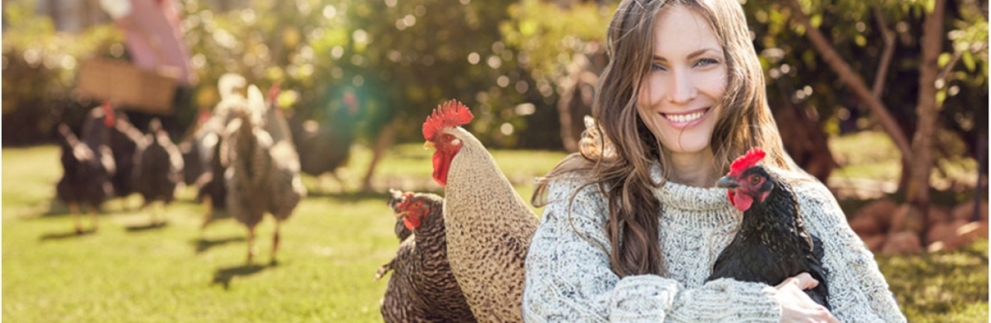 Coops and Hutches Direct Cover Image