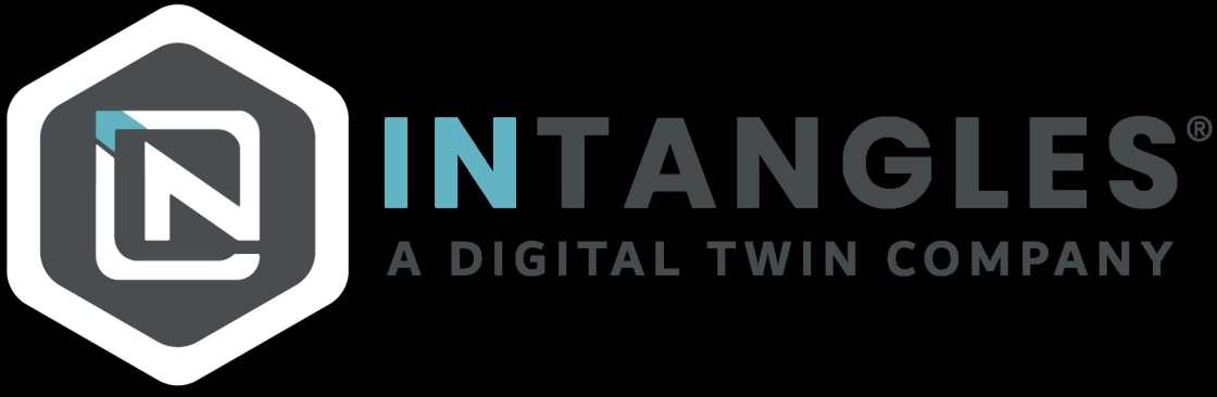 Intangles Cover Image