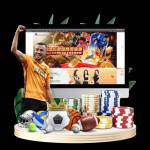 wanbo sports Profile Picture