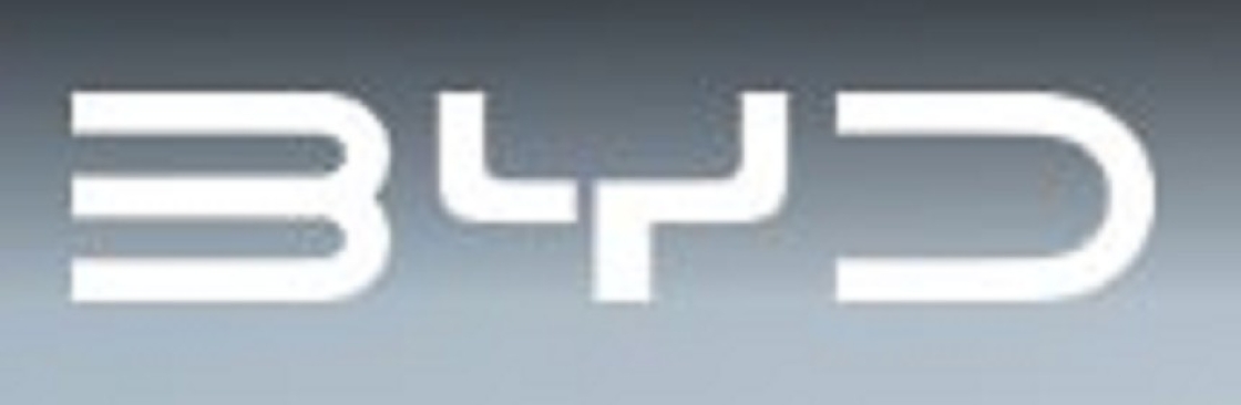 BYD Oway Cover Image