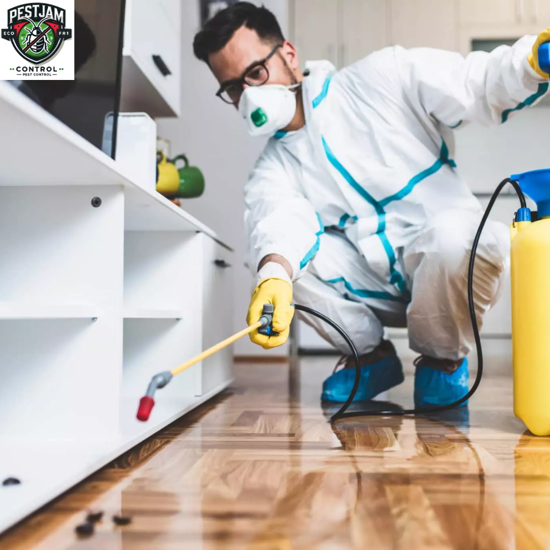 Hamilton Pest Exterminator | Best Pest Control in Hamilton – Pest Jam Control