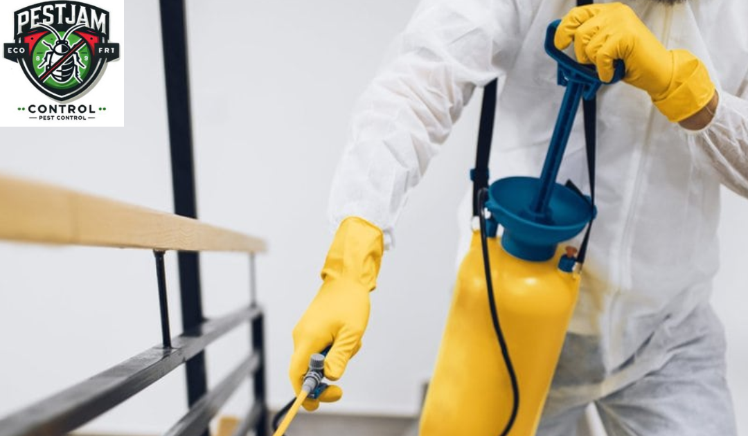Pest Control Hamilton |  Pest Control Company