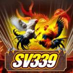 Da ga Thomo Sv339 Profile Picture