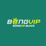 Nhacai BONGVIP Profile Picture