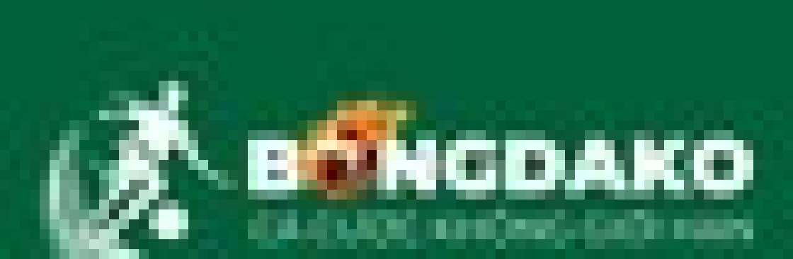 bongdako work Cover Image