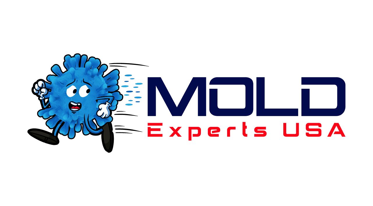 Professional Mold Remediation Services FL - Mold Experts USA