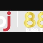 BJ 88 Profile Picture
