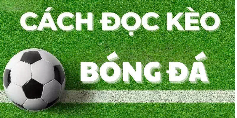 Hướng Dẫn Cách Đọc Kèo Bóng Đá Phổ Biến Trên Thị Trường