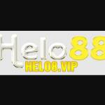 Demo com Website Profile Picture