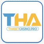 thabetcasino pro Profile Picture