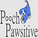 EffectiveFun & Puppy Classes in Providence — Start Your Pup Off Right | by John Ethan | May, 2025 | Medium