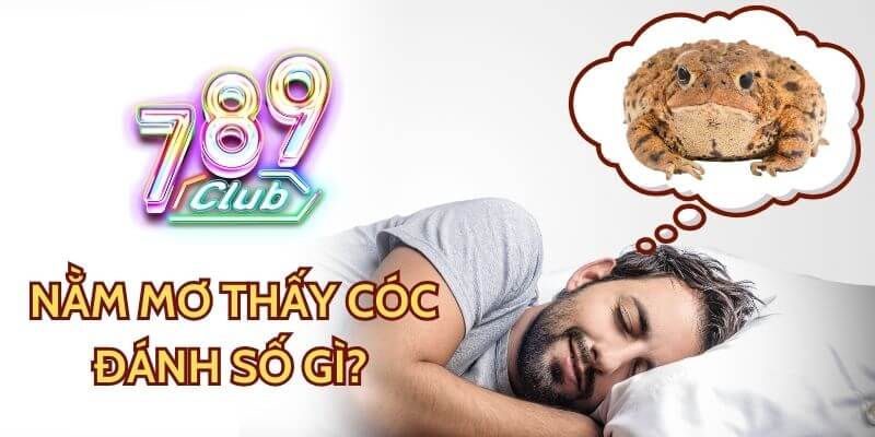 Nằm mơ thấy cóc đánh số gì? Giải mã ý nghĩa cùng 789club