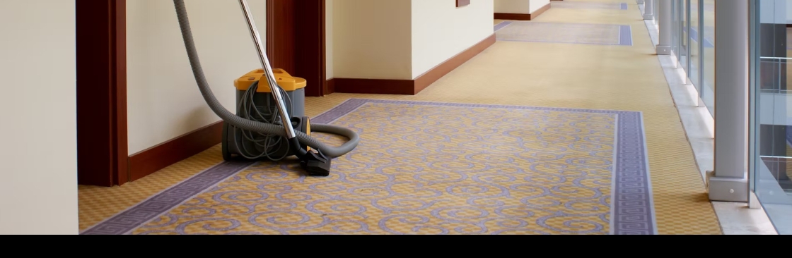 The Cleaner Company Cover Image