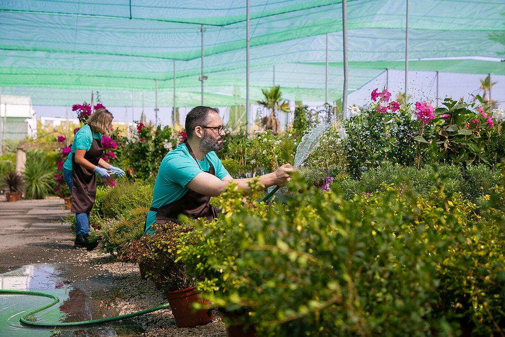 Smart Ways to Improve Your Outdoor Space in Auckland