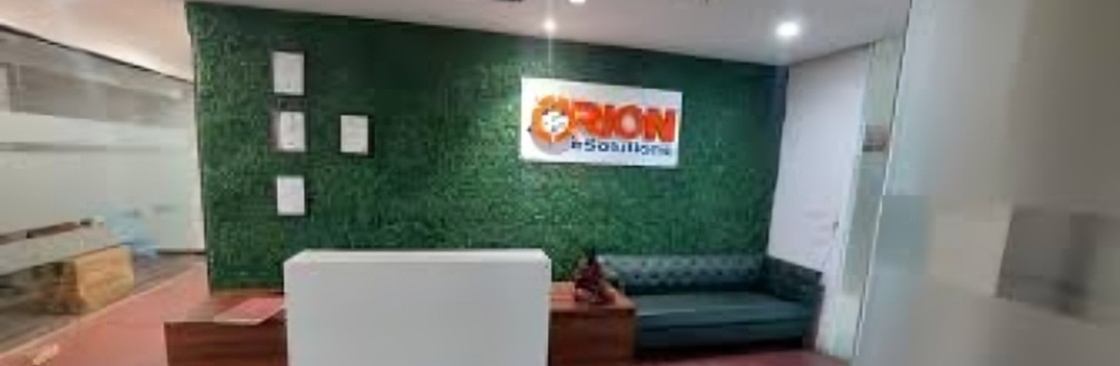 Orion eSolutions Cover Image