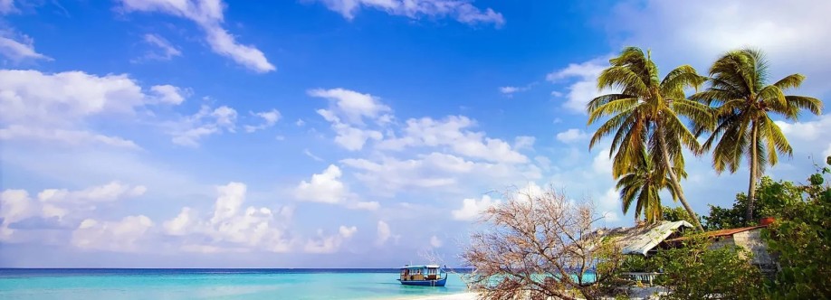 Go Andaman Holidays Cover Image